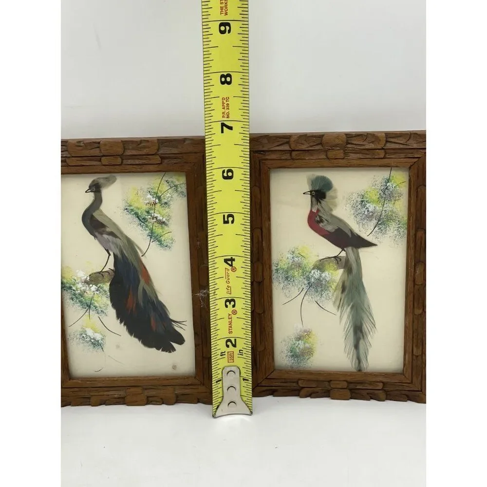 Pair Of Vintage Feather Art Bird Paintings In Carved Wooden Frames